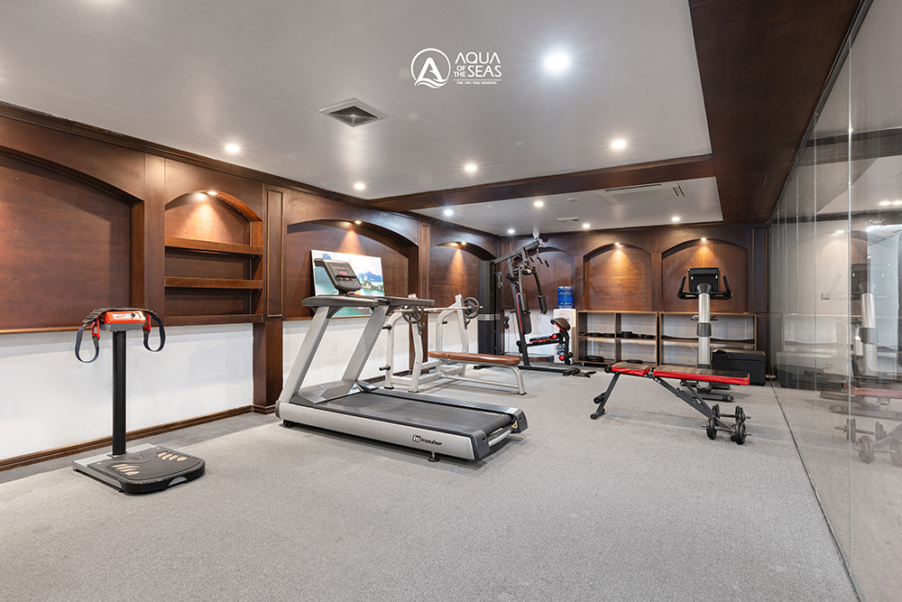 AQUA OF THE SEA CRUISE