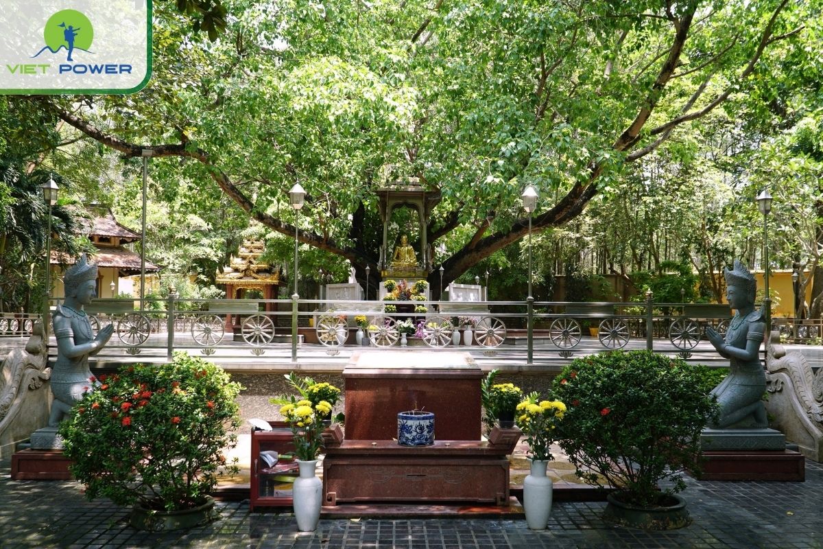 The temple's tree-lined courtyards and meditation halls