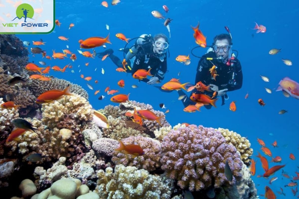 Snorkeling at black stone beach