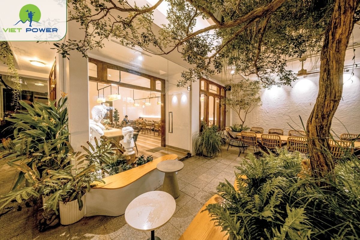 Oromia Coffee & Lounge