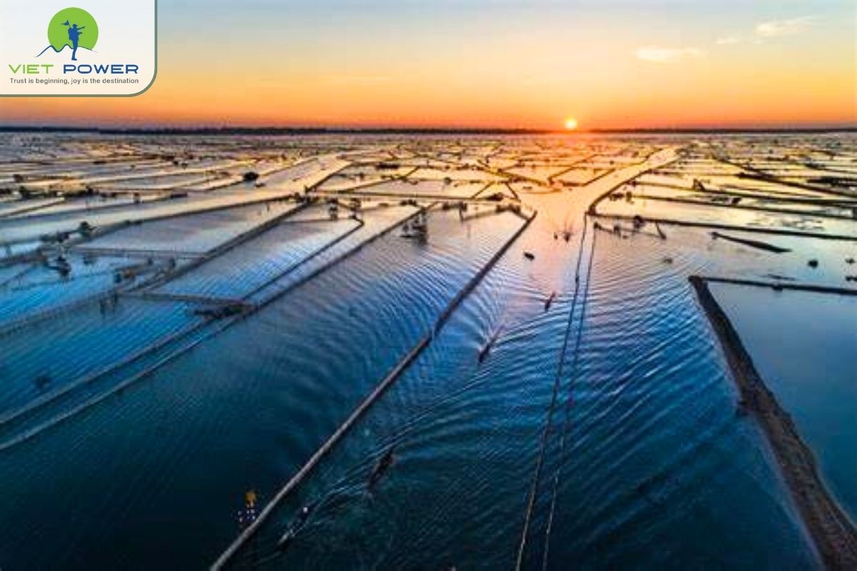 (12) Unnormal Landscapes