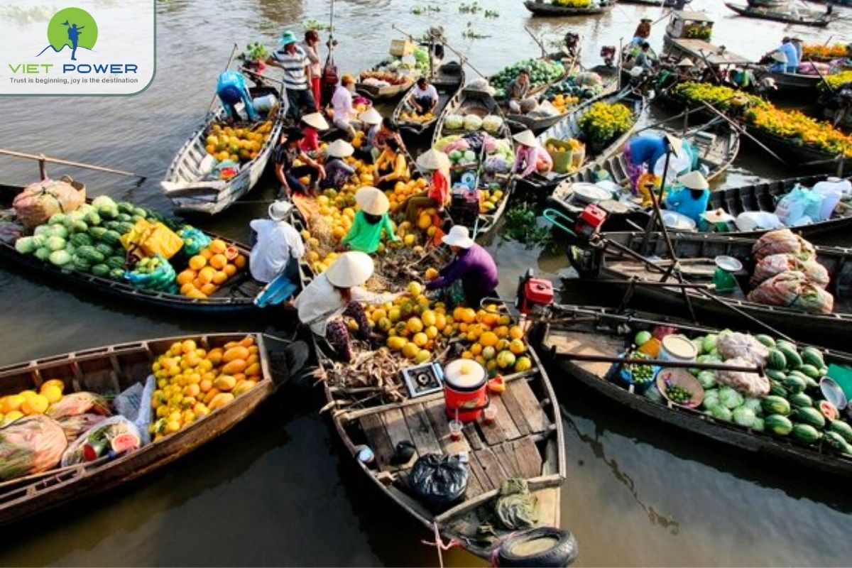 (15) Unnormal Landscapes