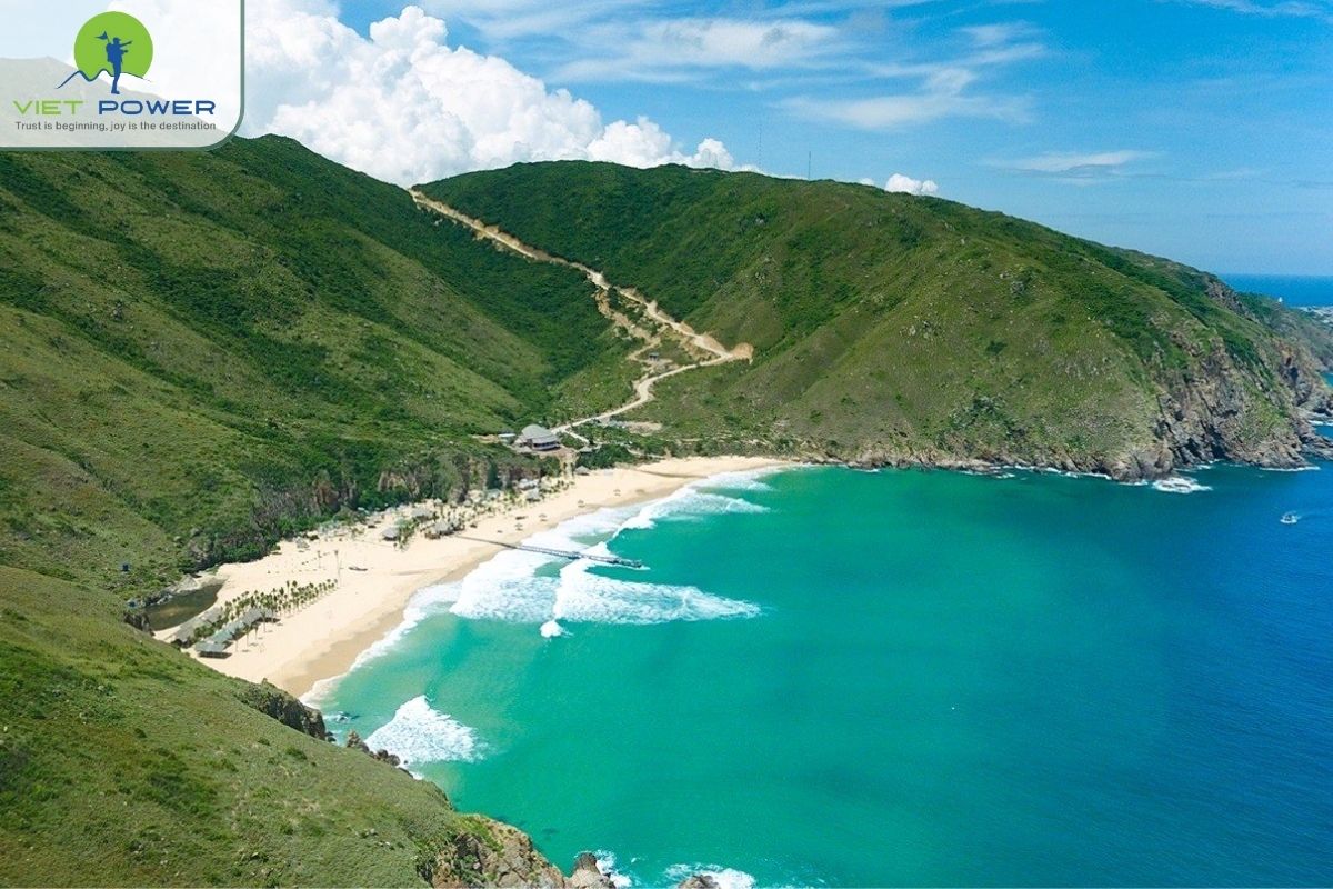 (4) Quy Nhon