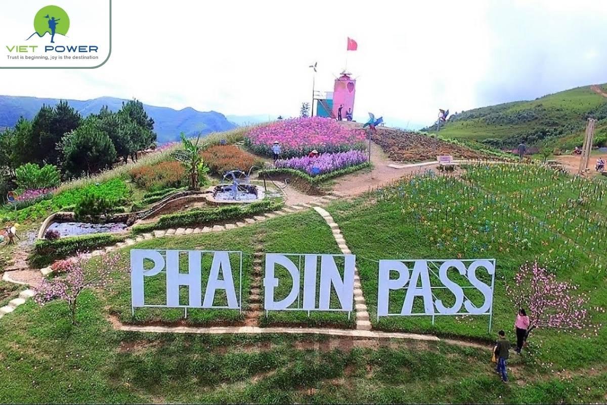 (5) Pha din pass