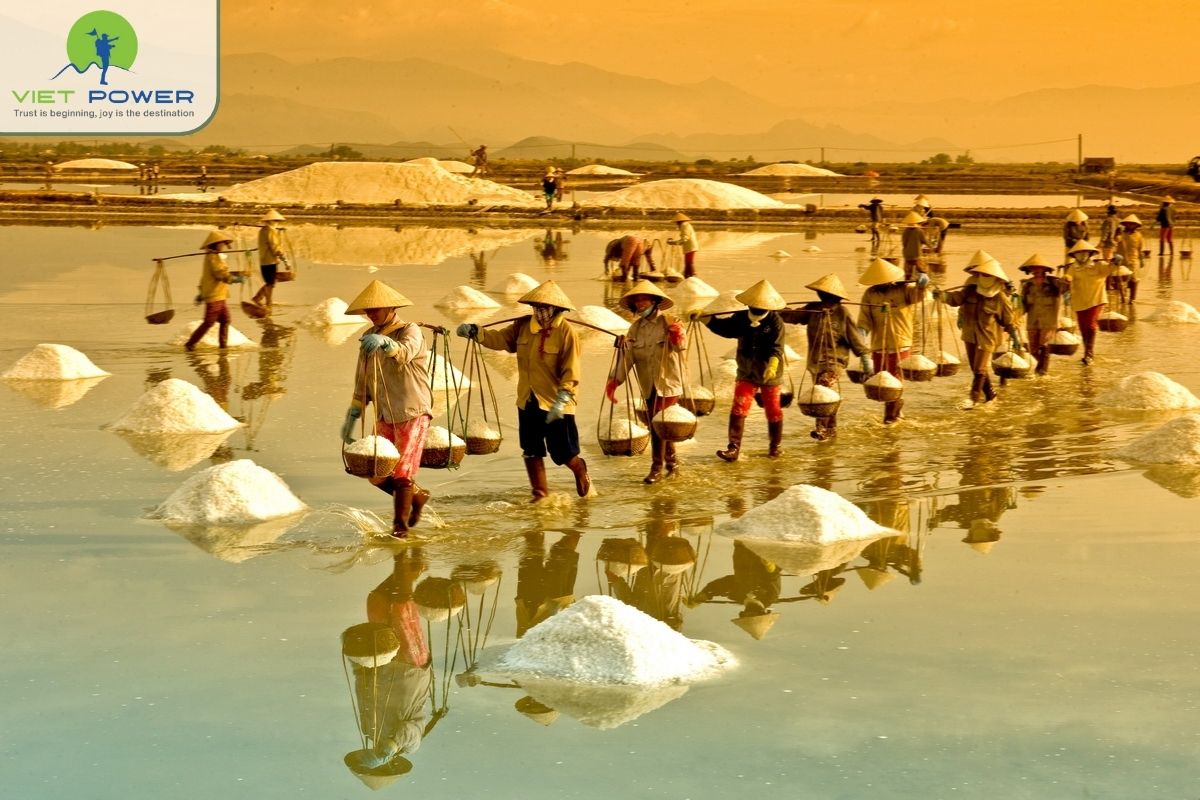 (6) Unnormal Landscapes