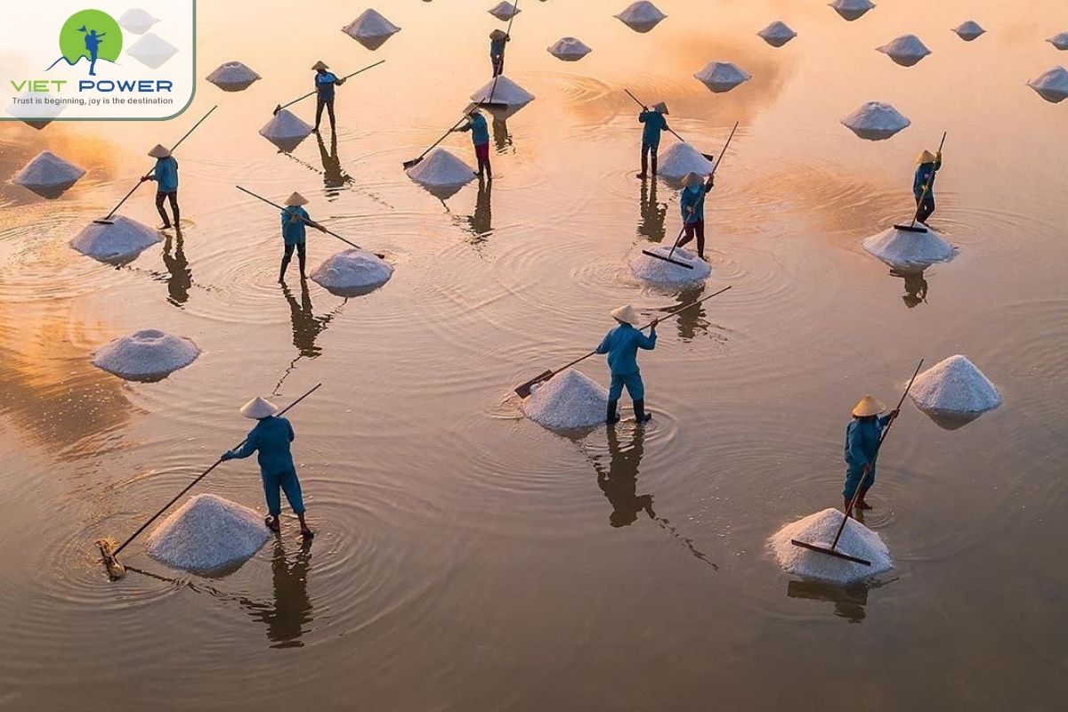 (8) Unnormal Landscapes