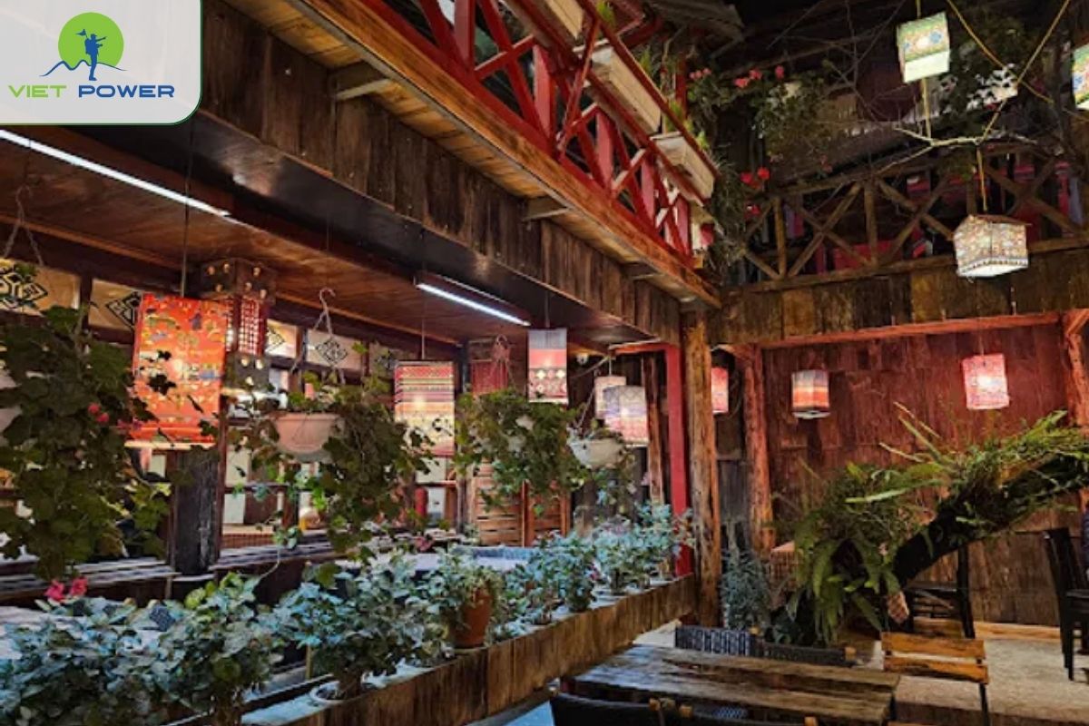 Opening Hours & Ticket