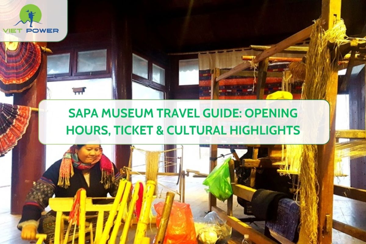 Sapa Museum Travel Guide: Opening Hours, Ticket & Cultural Highlights