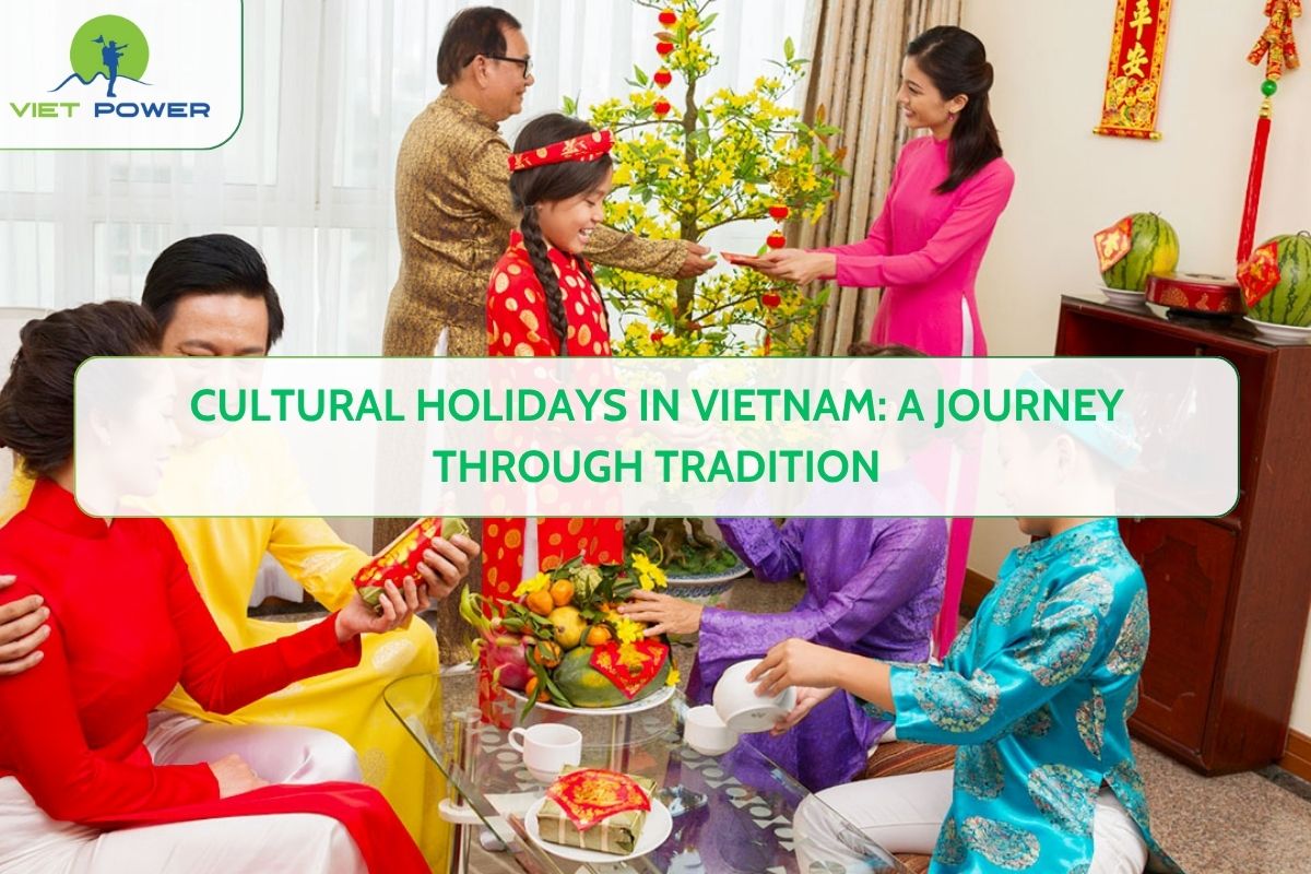Cultural Holidays in Vietnam: A Journey Through Tradition