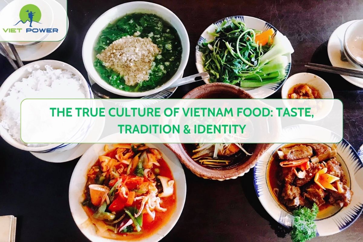 The True Culture of Vietnam Food: Taste, Tradition & Identity