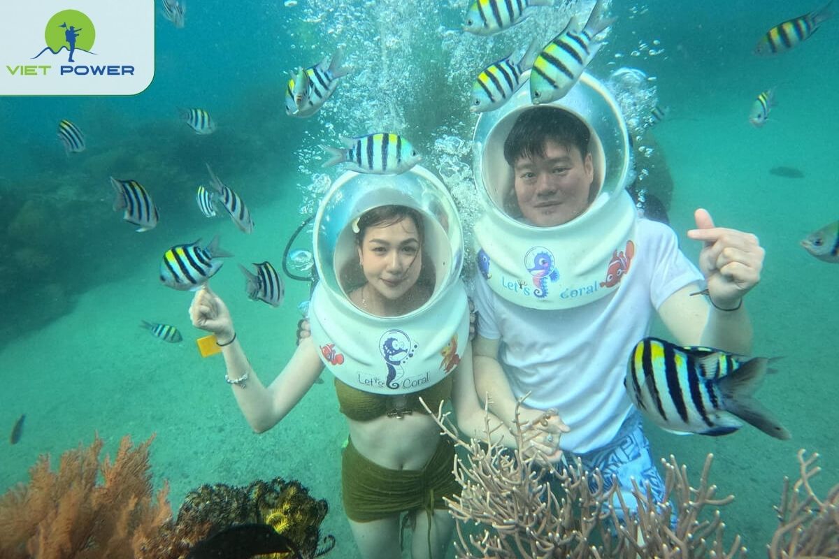 Sea Walking and Coral Viewing