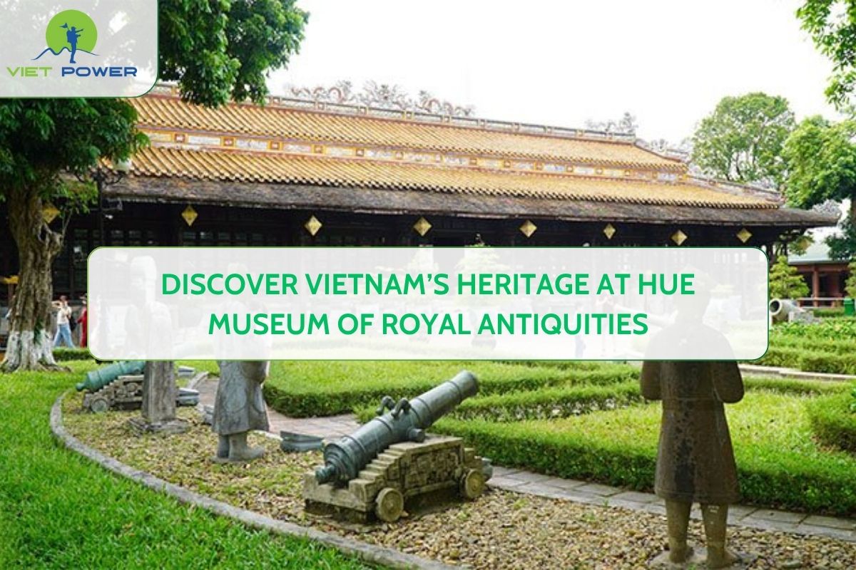 Discover Vietnam’s Heritage at Hue Museum of Royal Antiquities