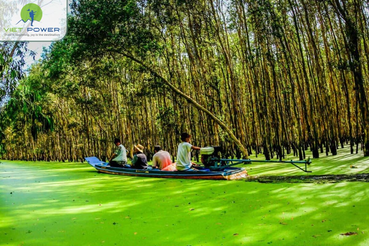 A Rare Flooded Melaleuca Forest