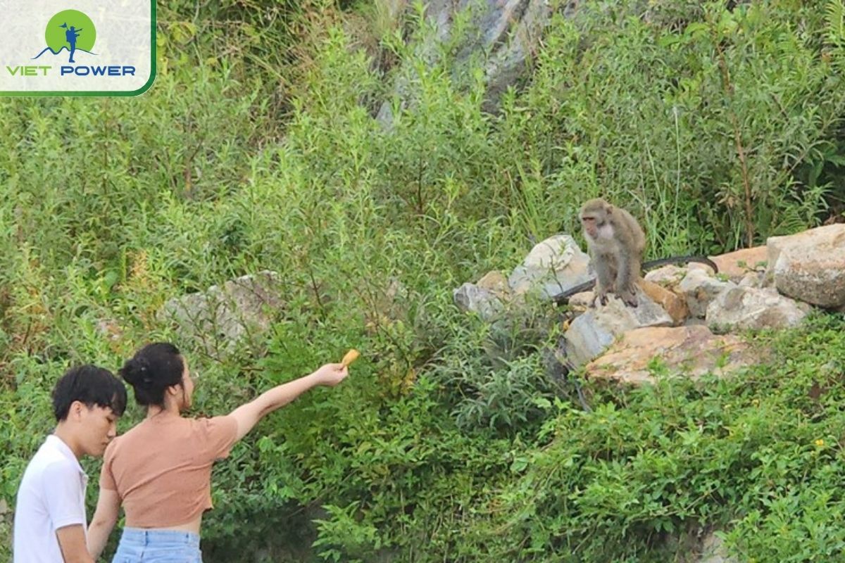 Discover Rare Wildlife in the Forest Around Tien Sa