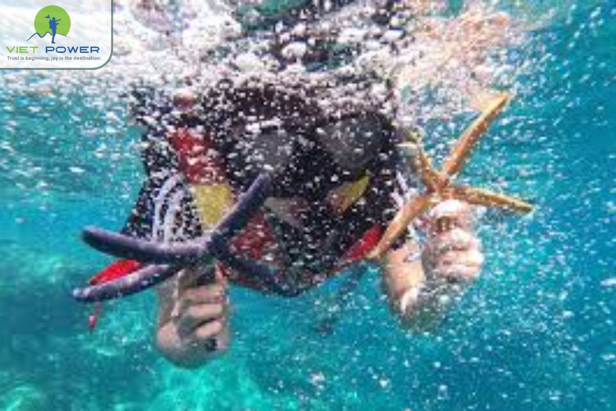 Beach Resort in Nha Trang (2)