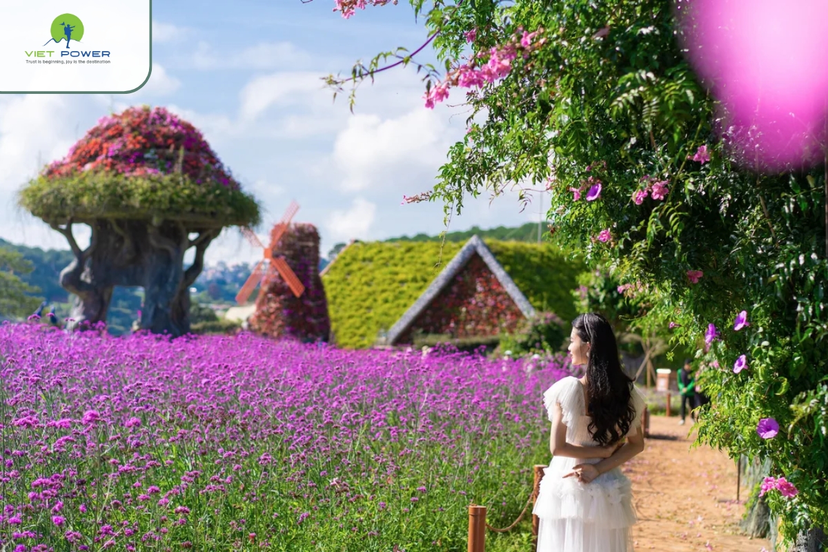 Best Time to Visit Dalat Flower Garden