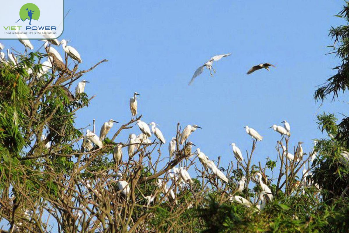 Bird sanctuary and bat lagoon