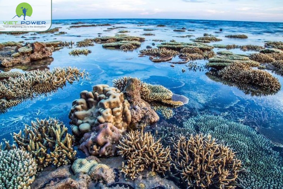 Con Dao vs Phu Quoc (6)