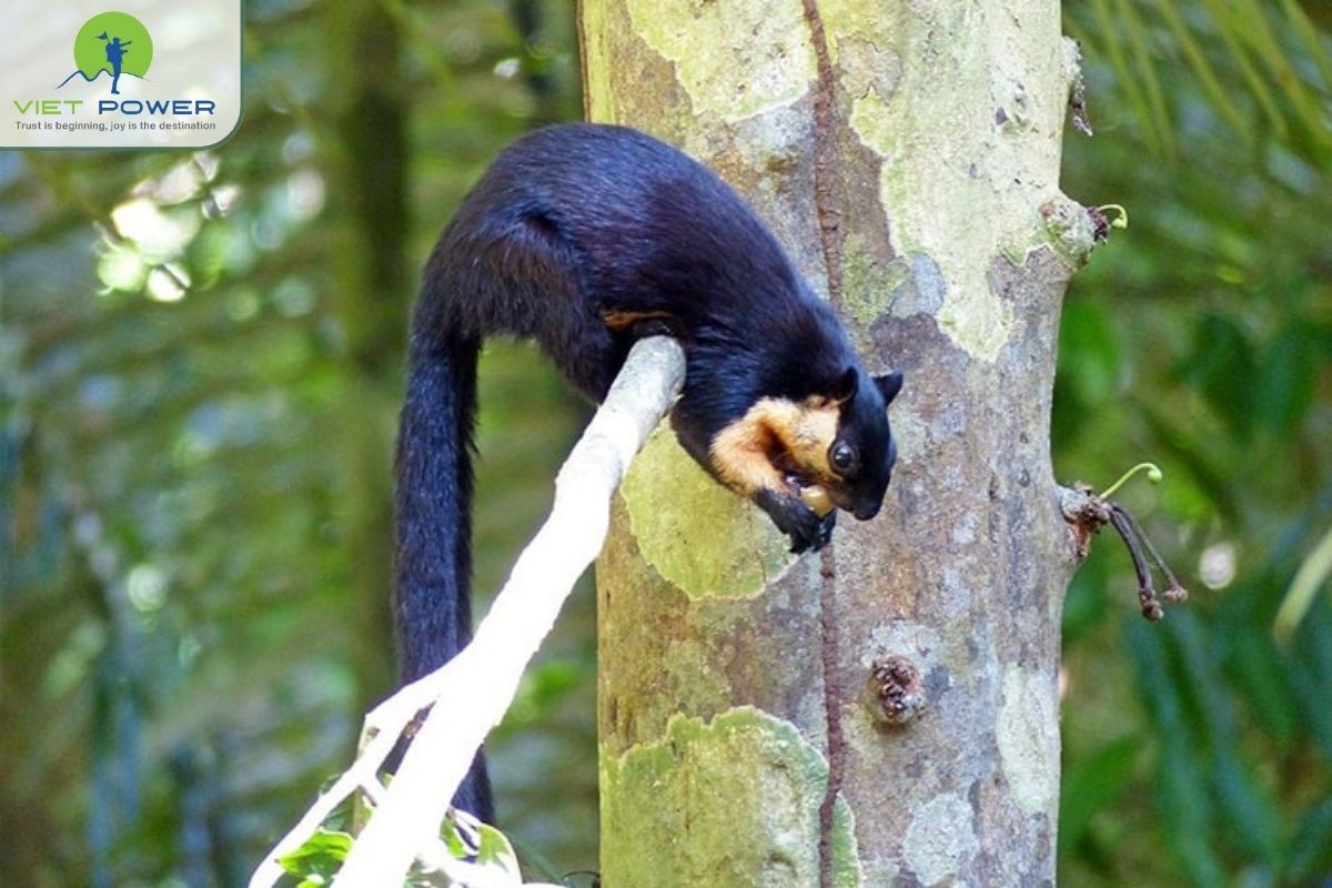 Con-Dao-National-Park (4)