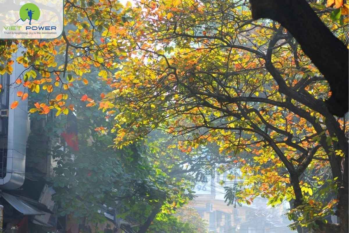 December-weather-in-Hanoi (2)
