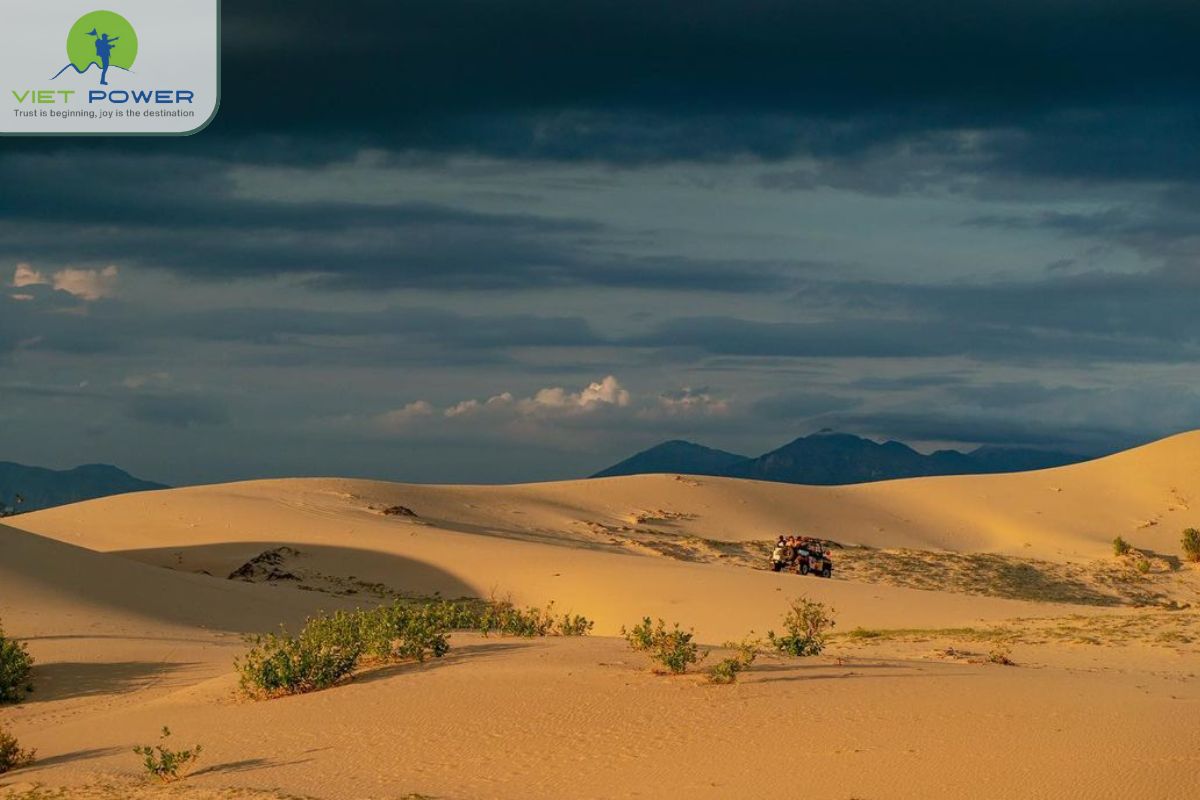 Dunes in Vietnam (11)