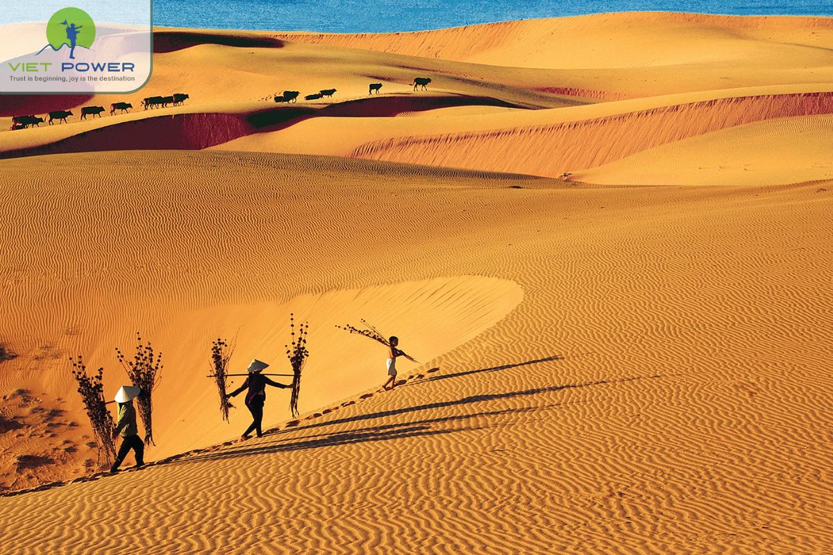 Dunes in Vietnam (3)