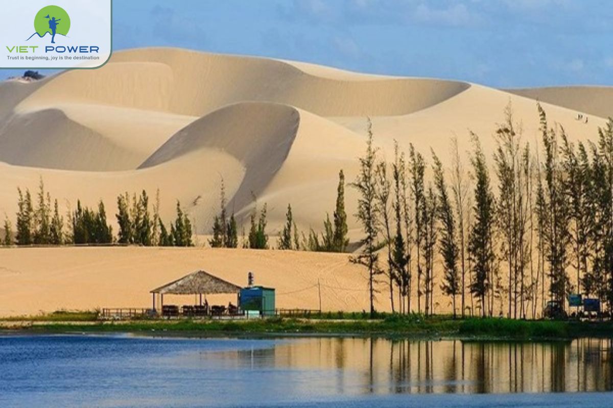 Dunes in Vietnam (4)