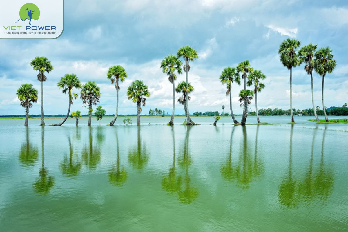 Floating Landscapes in Vietnam (12)
