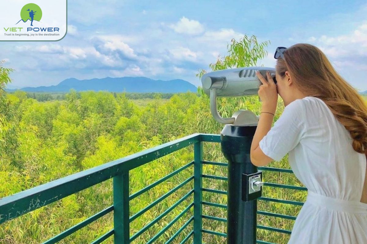 Floating Landscapes in Vietnam (15)