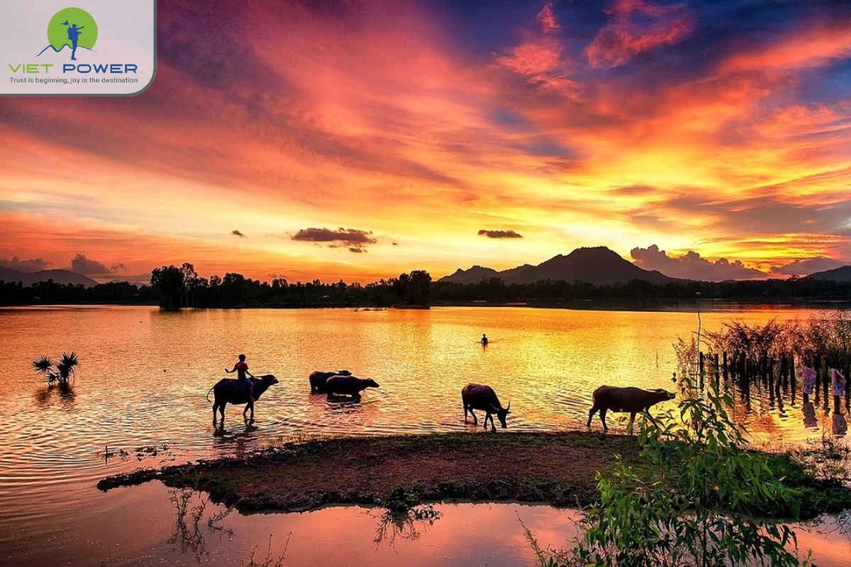 Floating Landscapes in Vietnam (16)