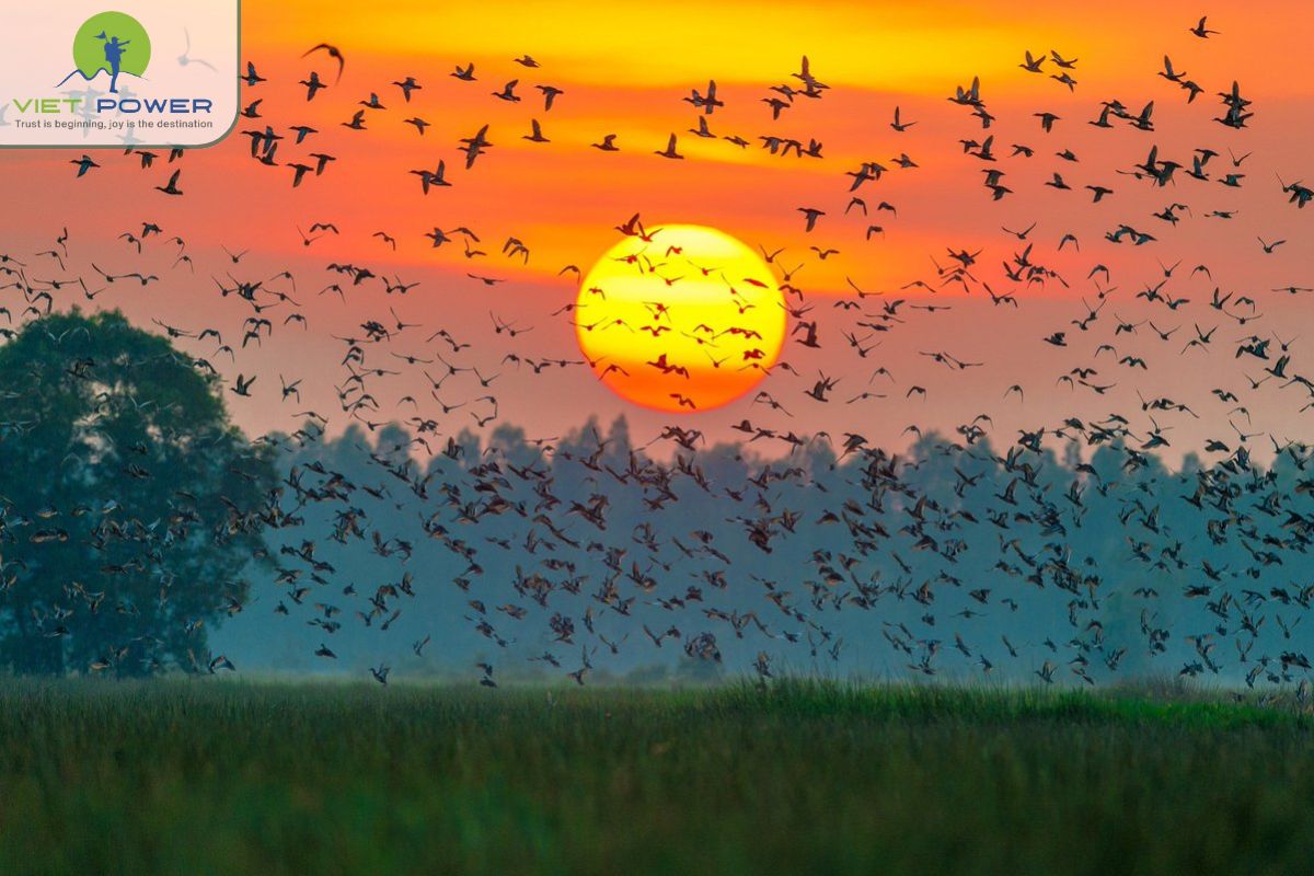 Floating Landscapes in Vietnam (4)
