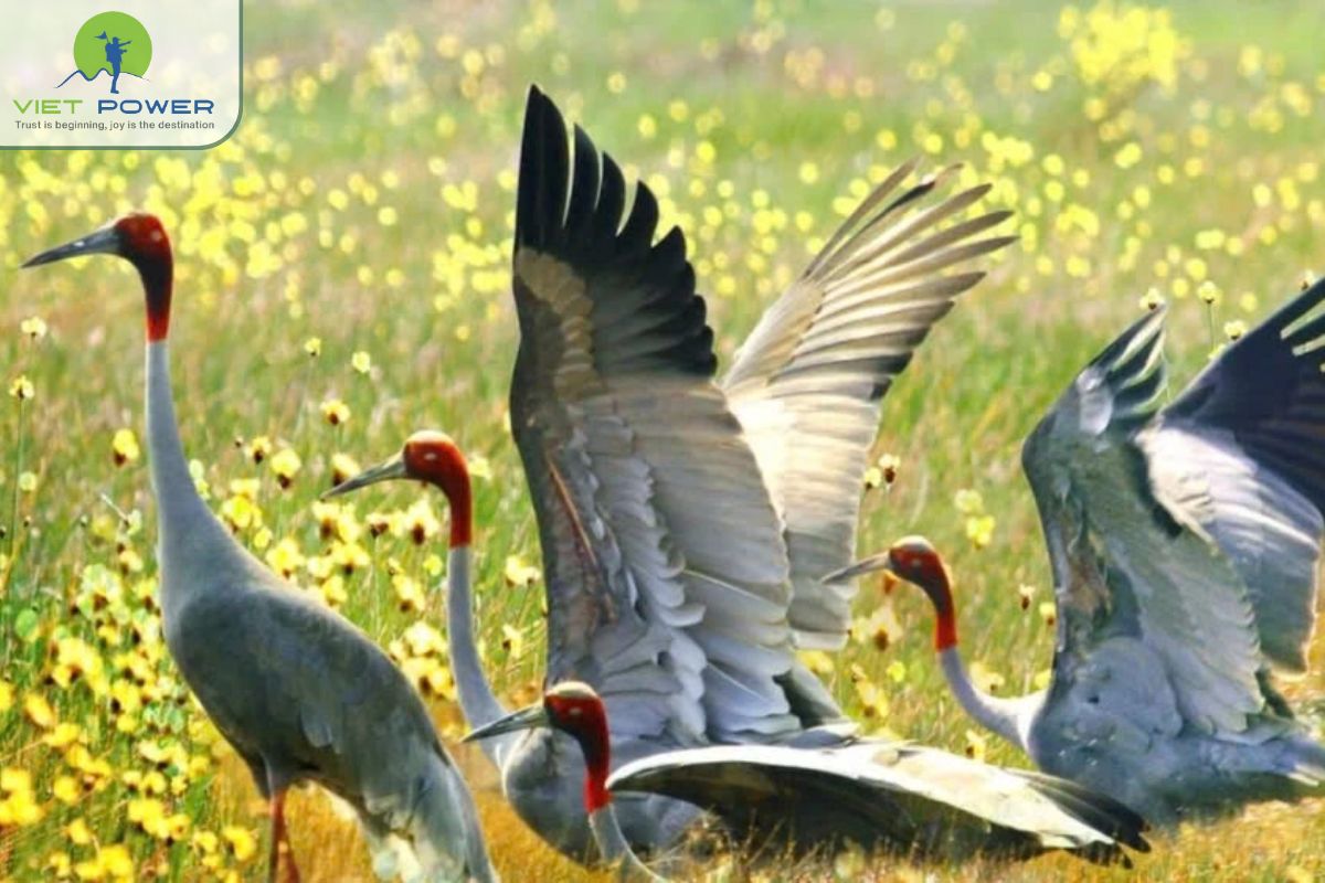 Floating Landscapes in Vietnam (5)