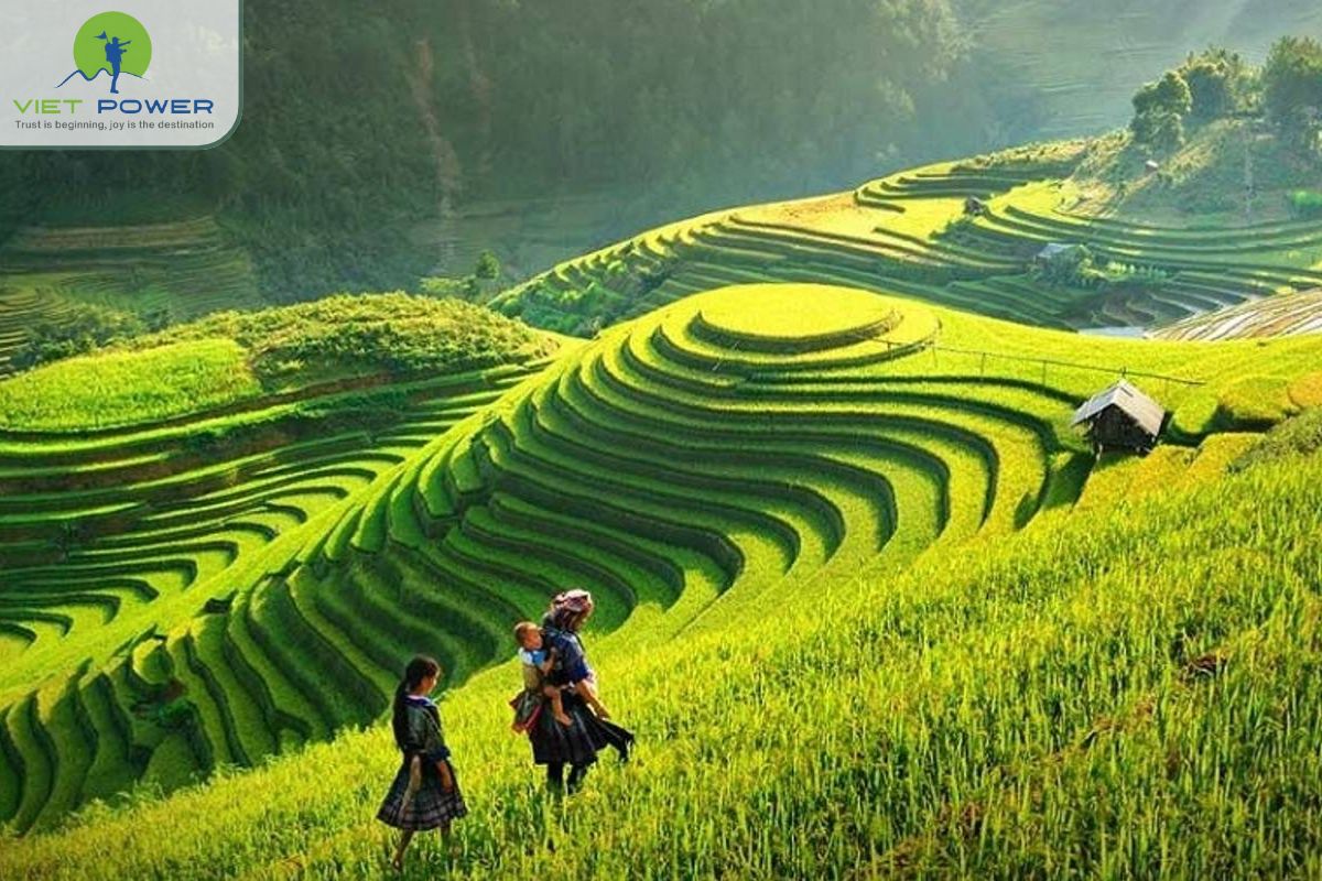 Health, Safety and Environmental Awareness