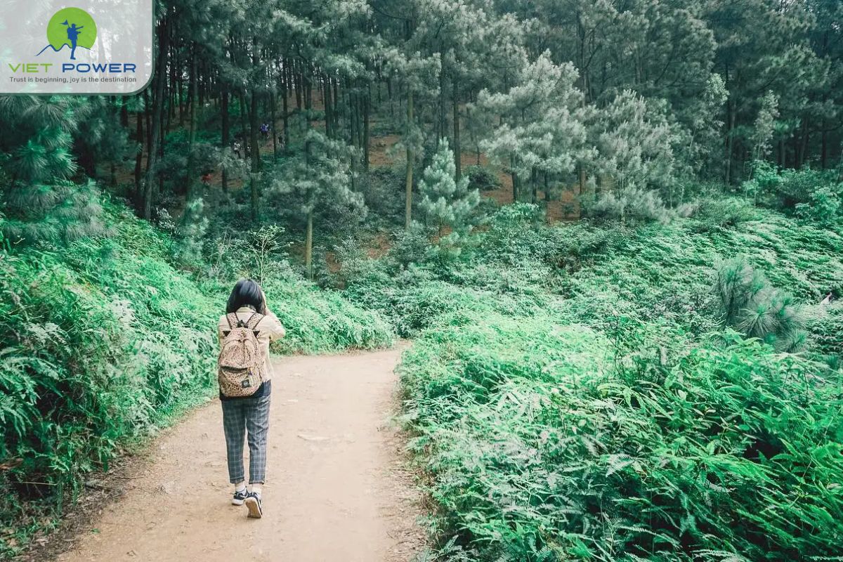 How Long Does the Trek Take