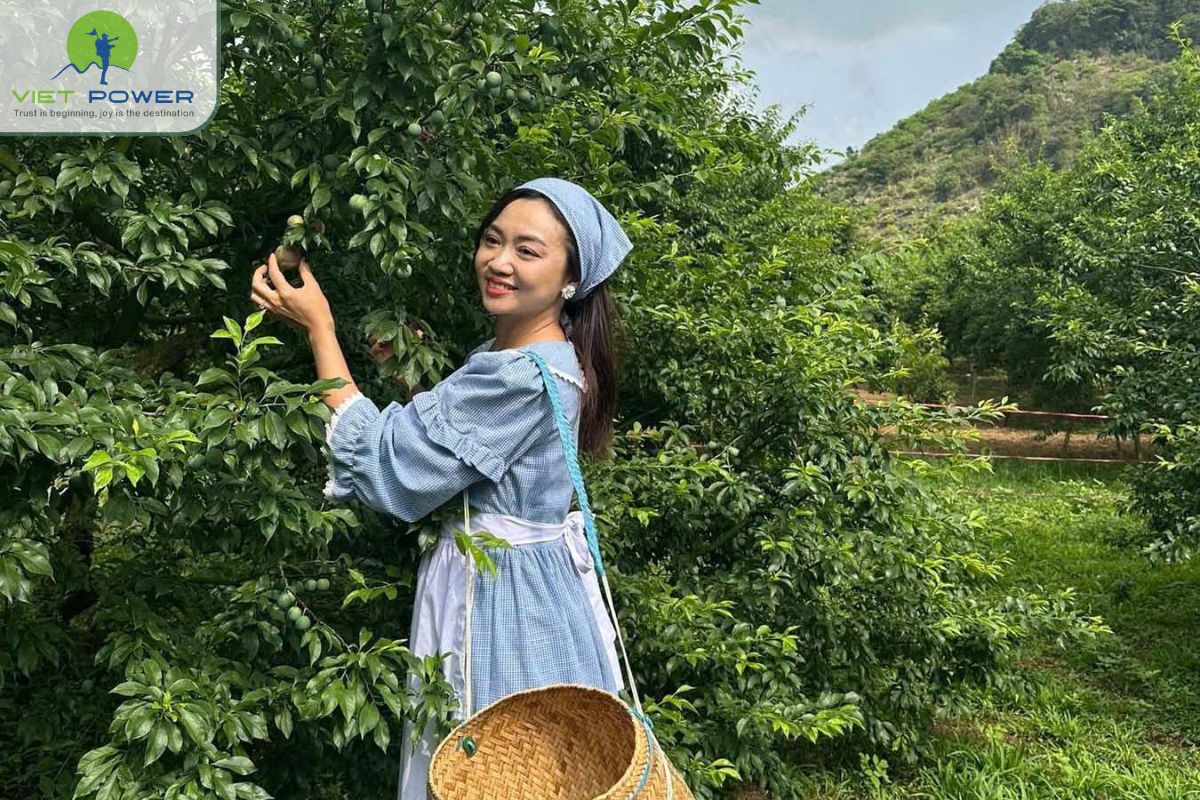 Ideal for outdoor and nature activities