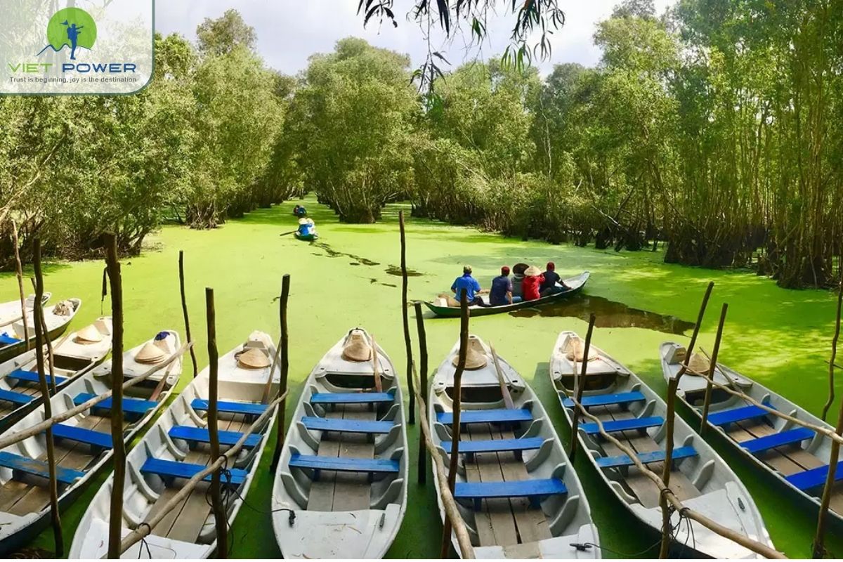 Importance of the Wetland Ecosystem