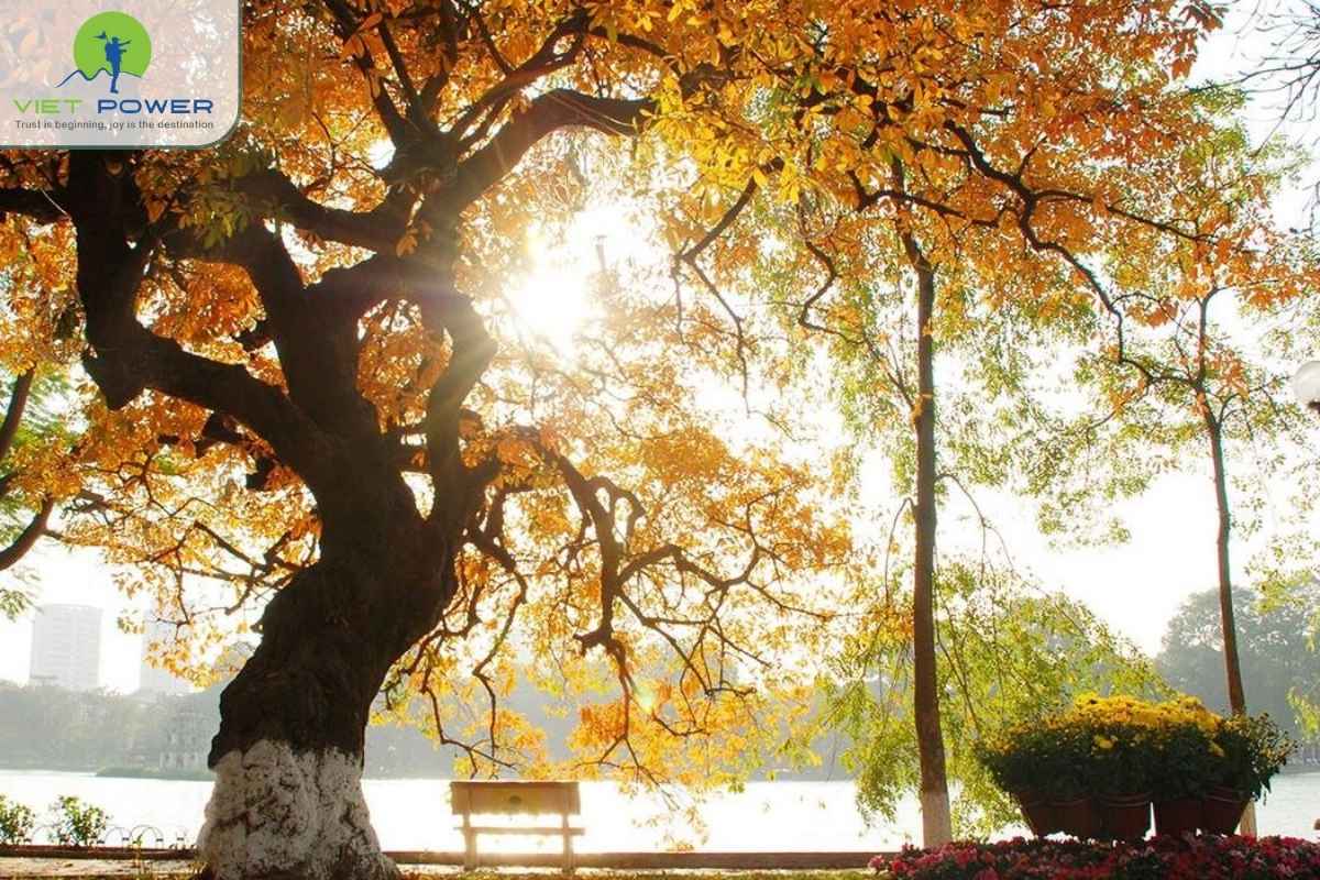 June-weather-in-Hanoi (3)