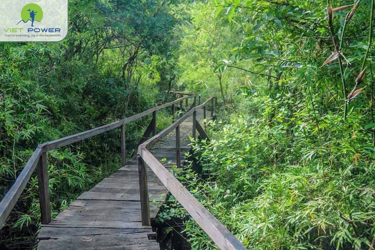 National-Park-in-Vietnam (6)