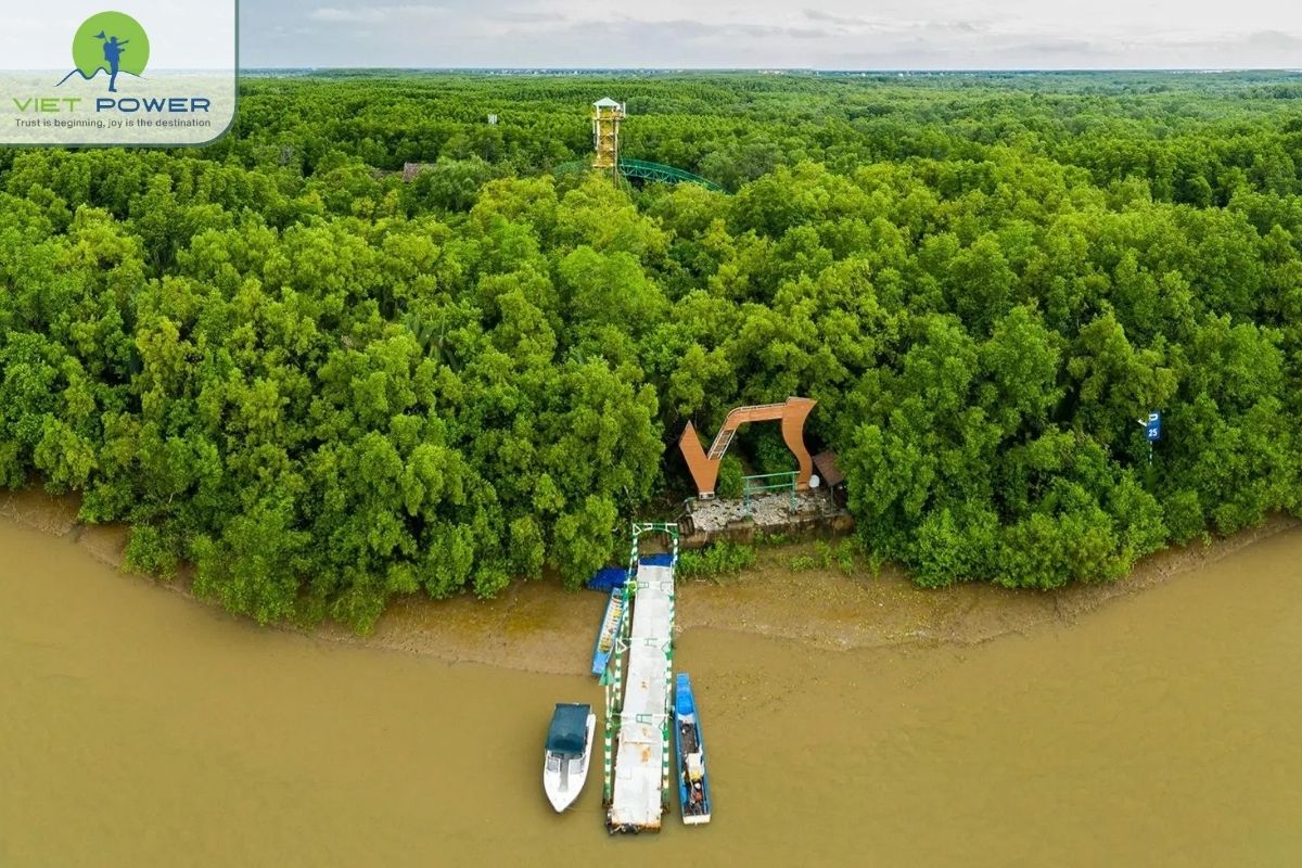 Natural defense against erosion and storms