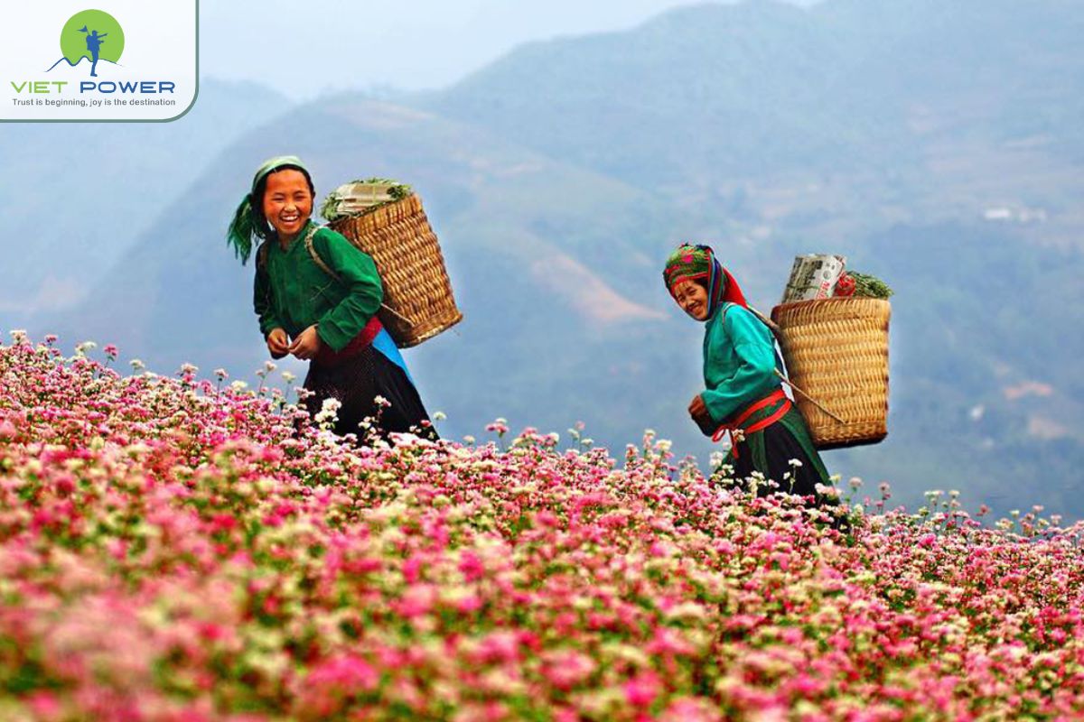 Northeast Vietnam in 5 Days (1)