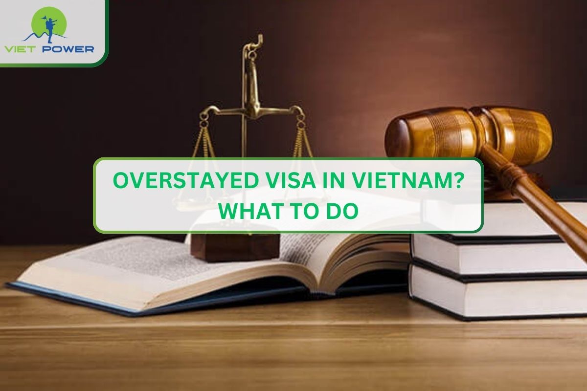 Overstayed Visa in Vietnam? What To Do