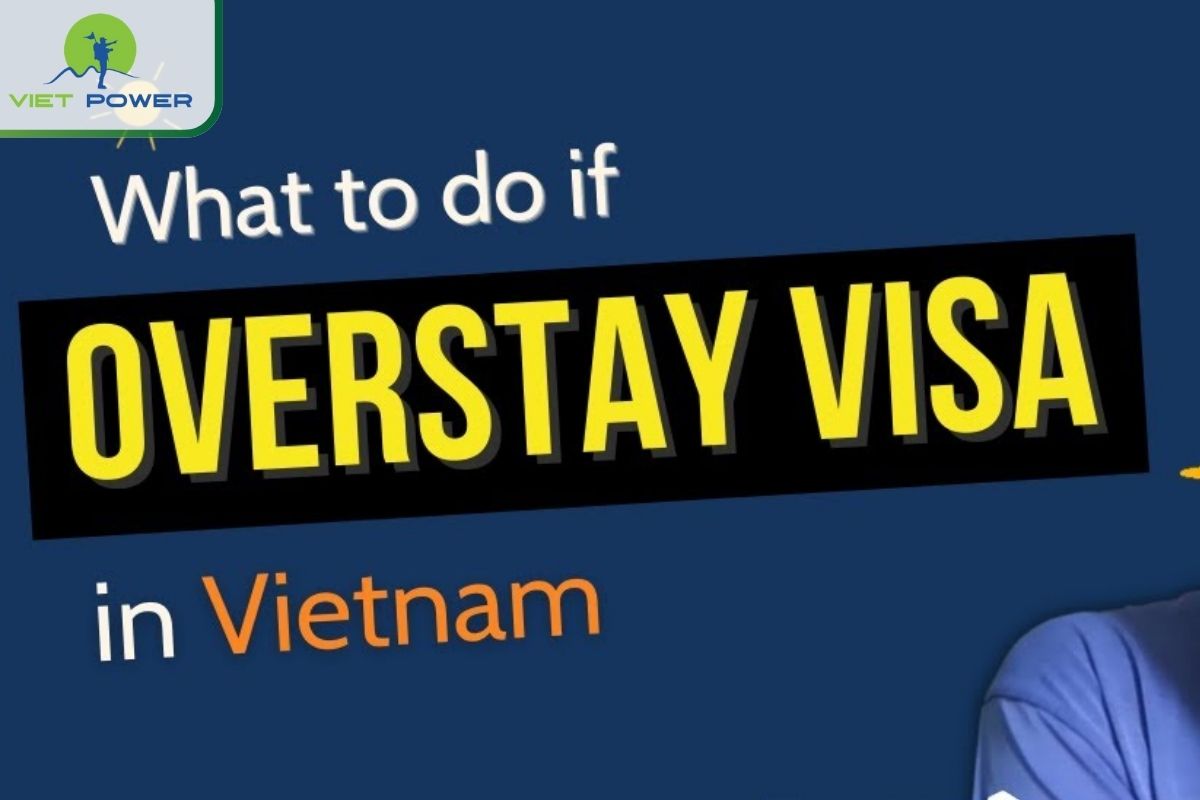 Overstayed Visa in Vietnam? What To Do: Immediate Actions to Take