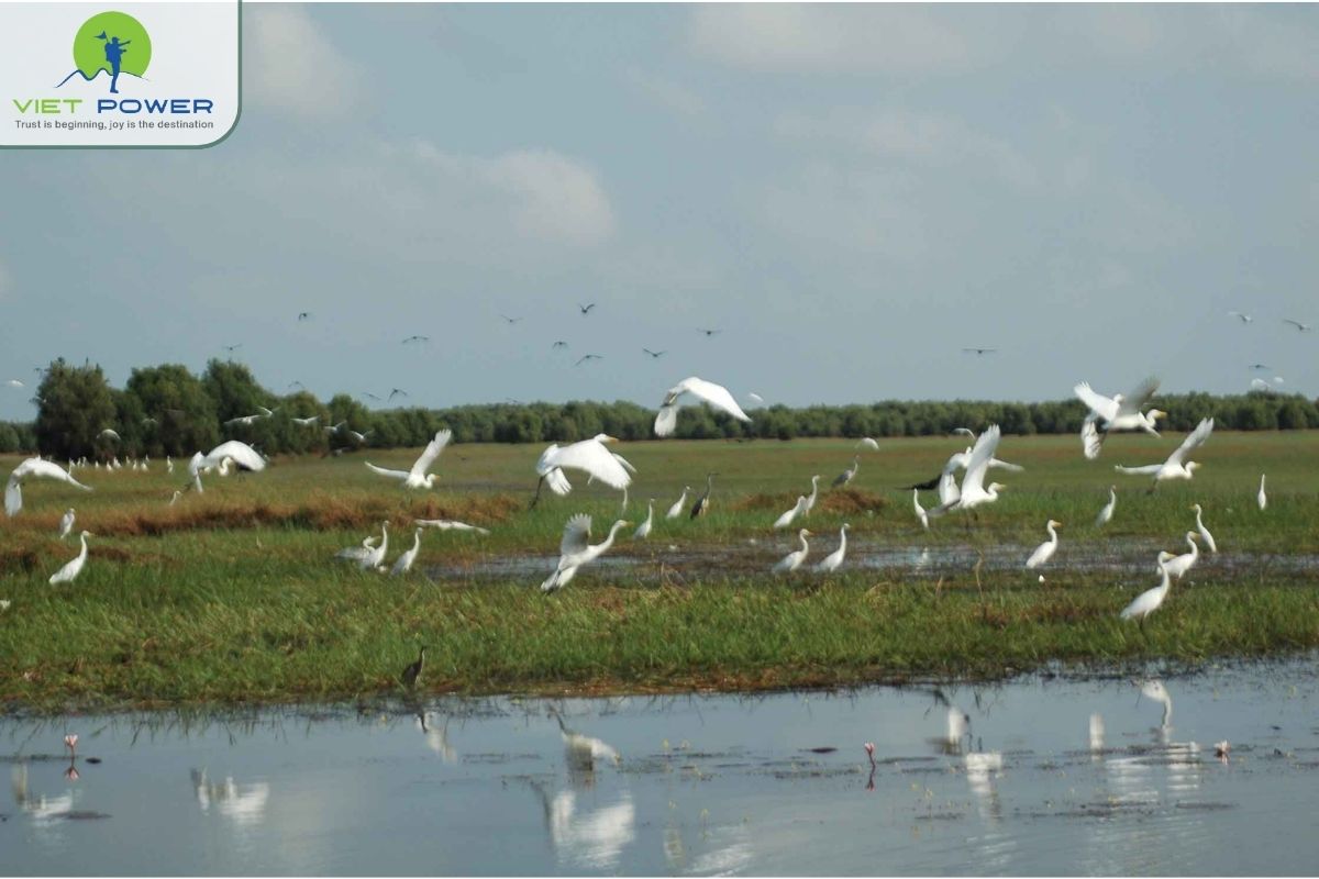 Overview of the Ramsar wetland site