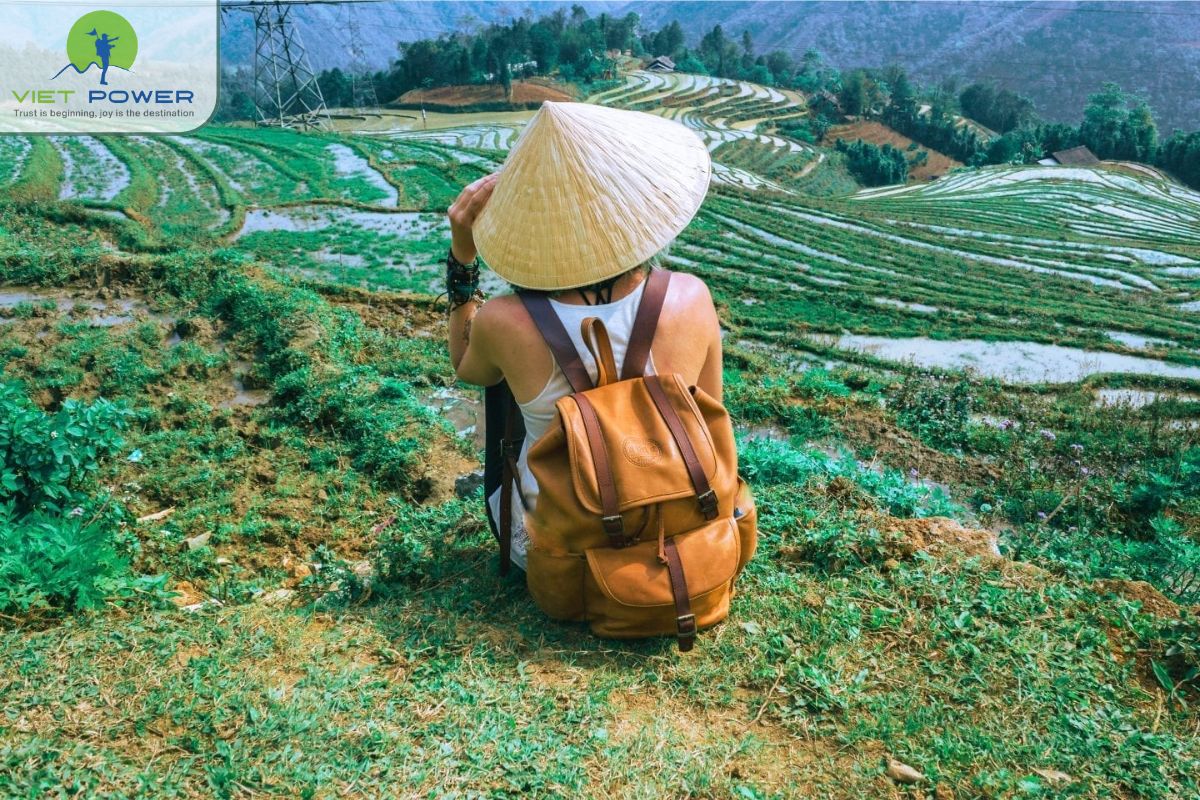 Planning with Professional Travel Services