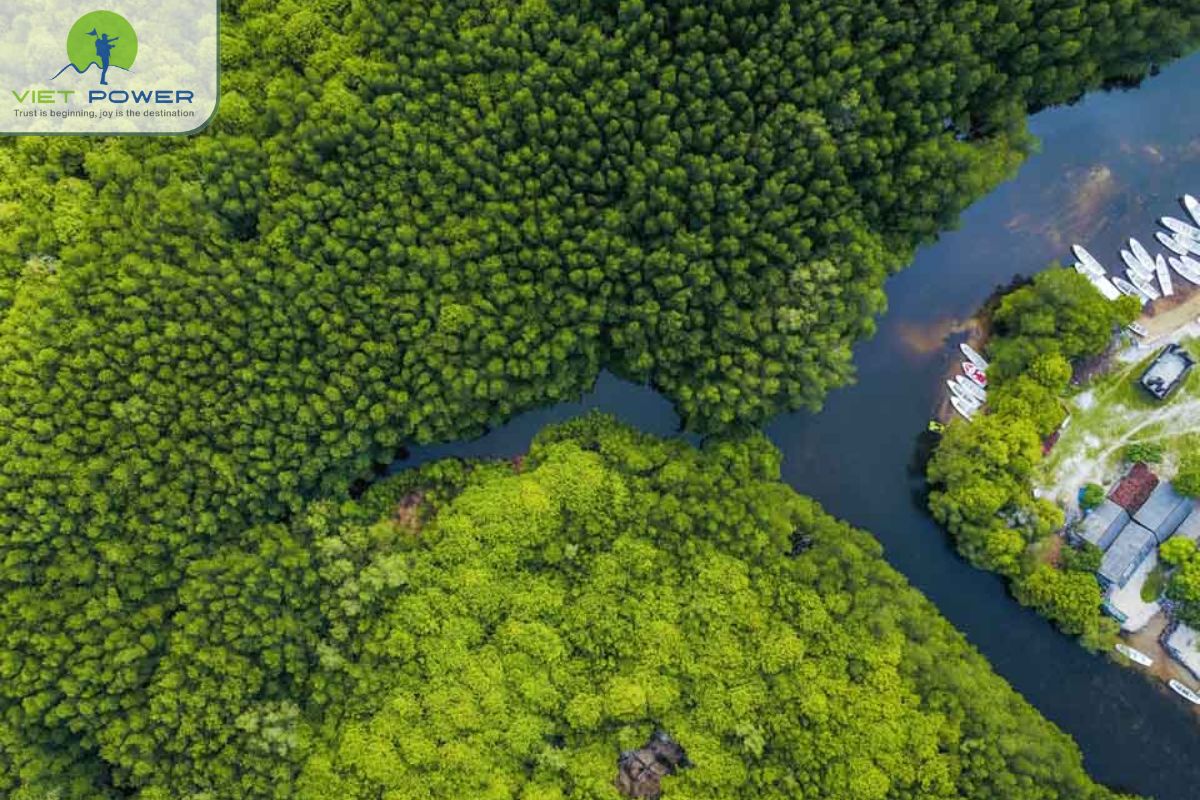 Rich biodiversity and unique ecosystems