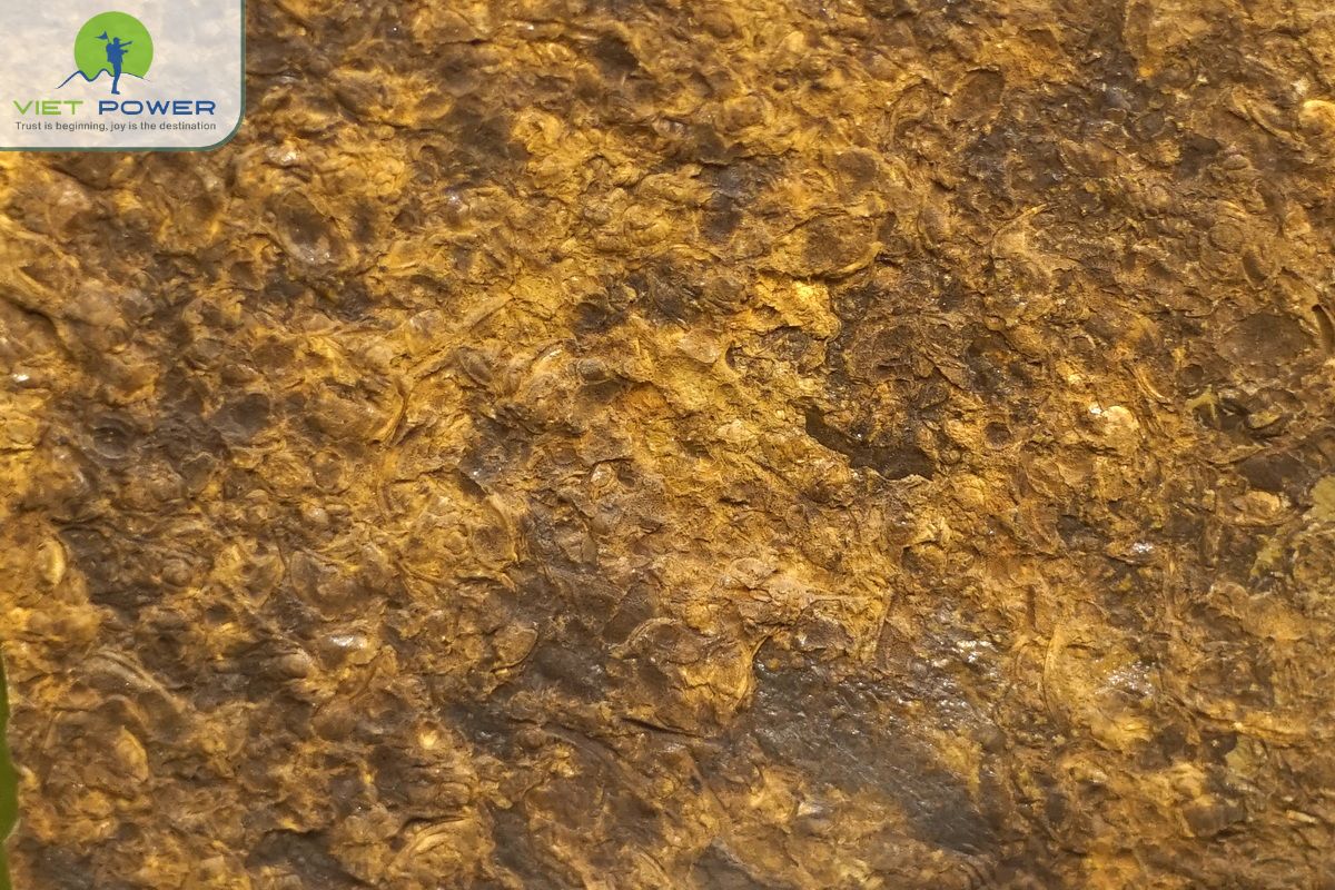 Rock Fields in Vietnam (11)