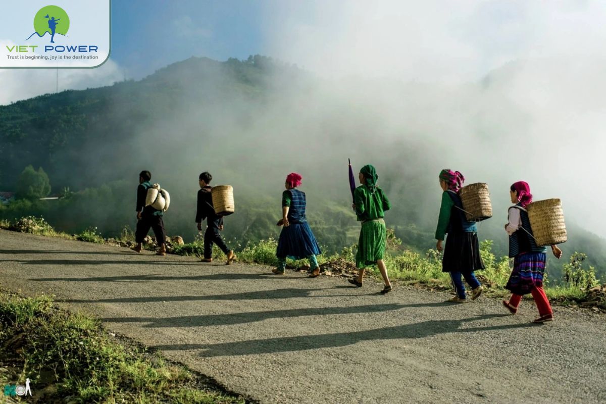 Rock Fields in Vietnam (12)