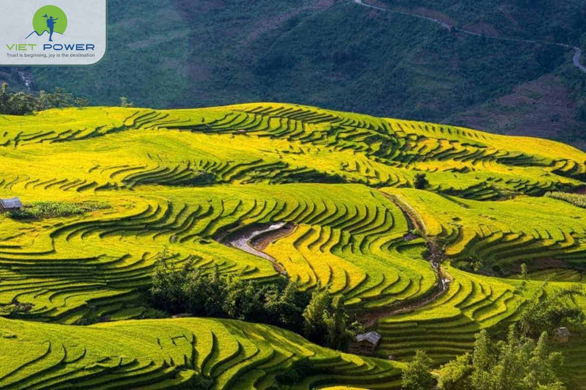 Rock Fields in Vietnam (2)