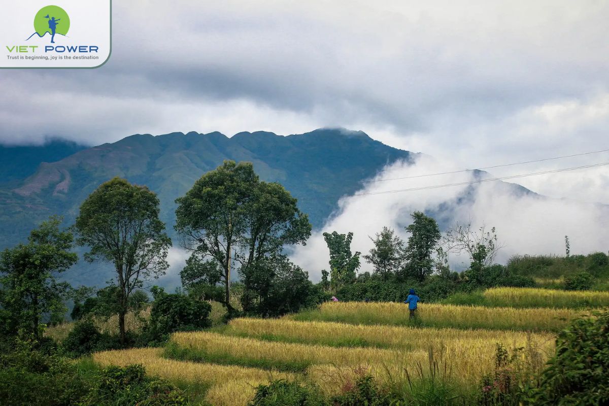 Rock Fields in Vietnam (3)