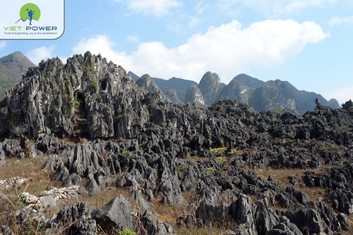 Rock Fields in Vietnam (4)